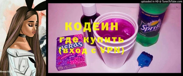 индика Михайловка