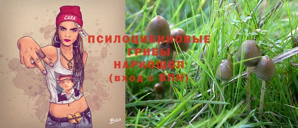 индика Михайловка