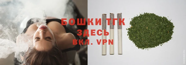 молекула духа Михайловск