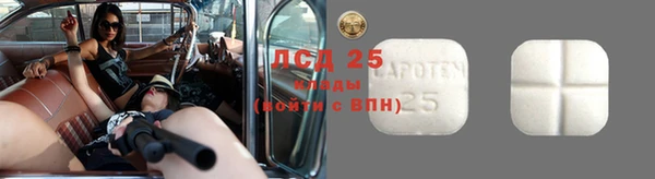 молекула духа Михайловск
