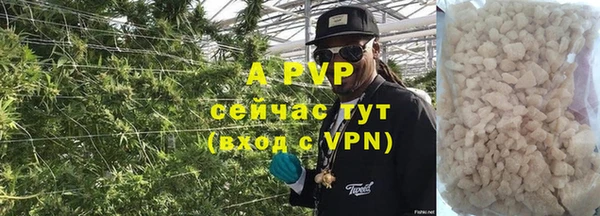 молекула духа Михайловск