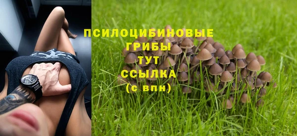 индика Михайловка