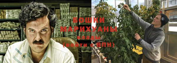 индика Михайловка