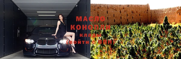 индика Михайловка