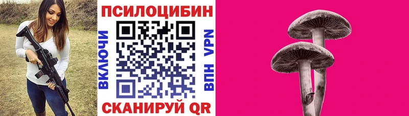 гидра рабочий сайт продажа наркотиков Сорочинск Галлюциногенные грибы Cubensis