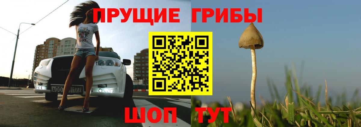 Галлюциногенные грибы ЛСД  Вход с VPN  купить наркотик  Сорочинск 